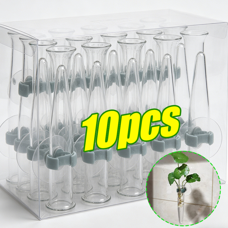 Nutrition & Fitness Hub Photos - Tubos de Agua Florales de 11