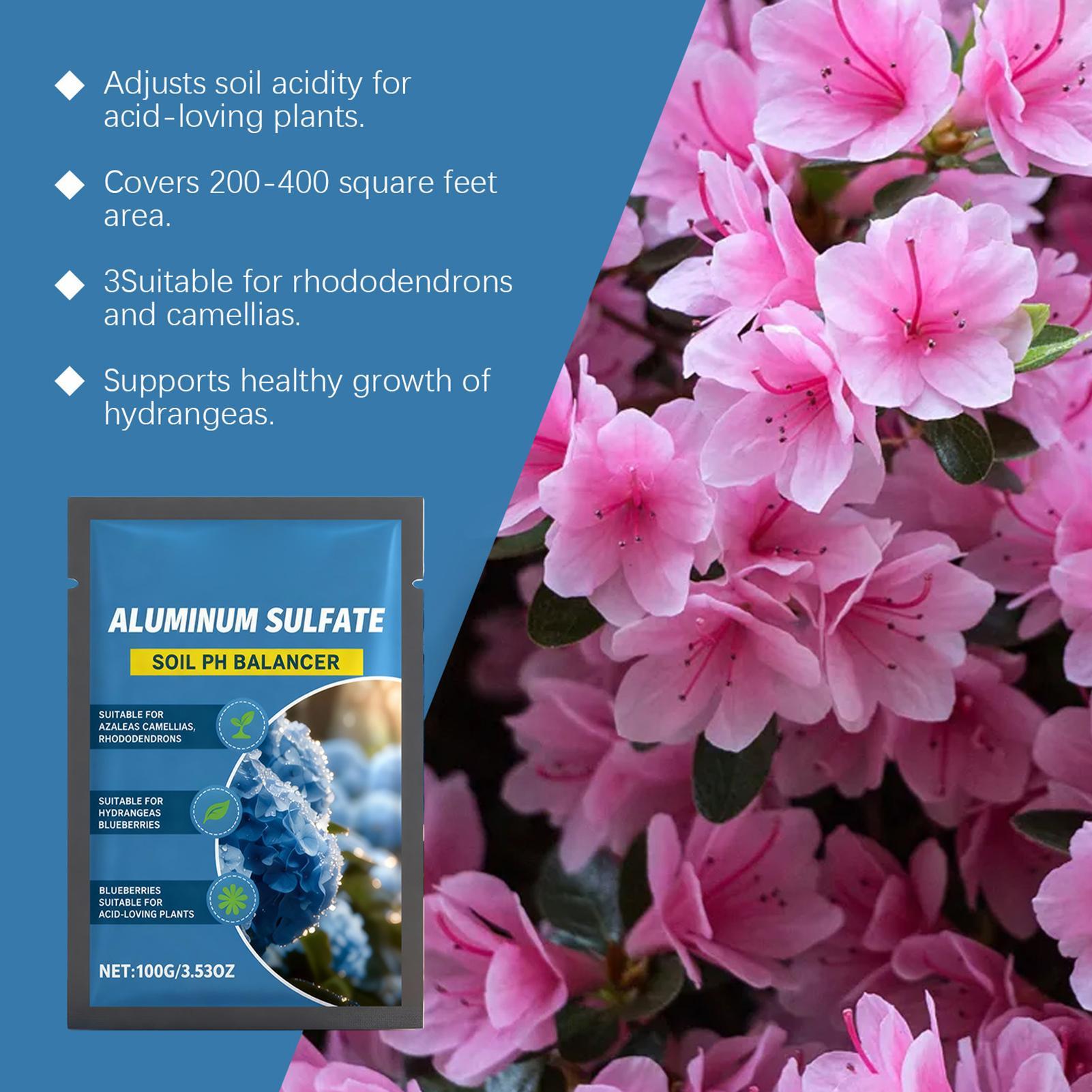 Suplemento Nutritivo Concentra - Nutrition & Fitness Hub Photos reseña y precio
