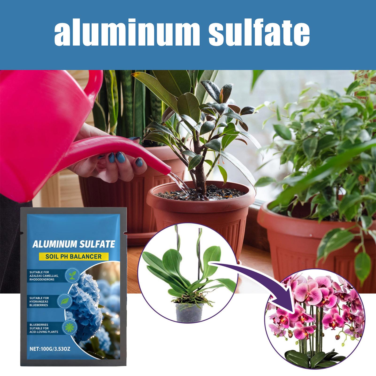 Suplemento Nutritivo Concentra - Nutrition & Fitness Hub Photos reseña y precio