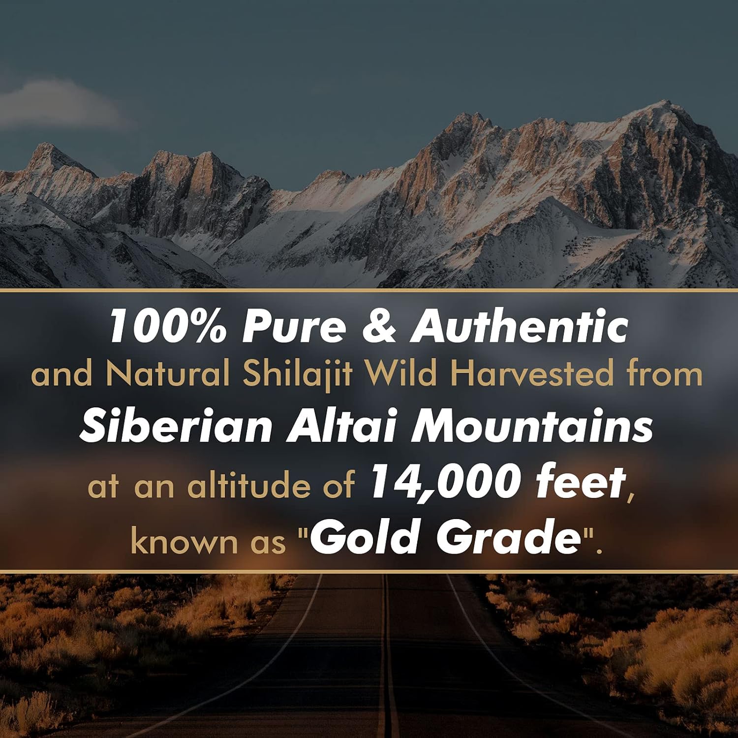 Resina de Shilajit Pura Origin - Shilajit Resin Pure reseña y precio